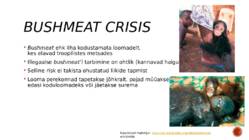 Eksootiline liha #7