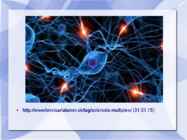 Sclerosis Multiplex #3
