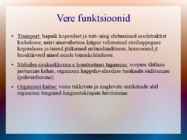Doonorlus #25