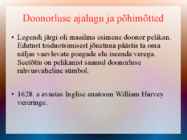 Doonorlus #4