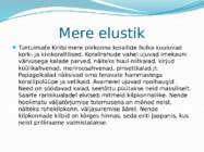 Kariibi meri #8