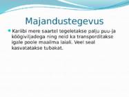 Kariibi meri #9