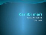 Kariibi meri