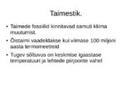 Paleogeen #4