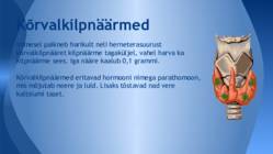 Sisenõrenäärmed ja tuntumad haigused #12