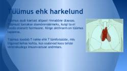 Sisenõrenäärmed ja tuntumad haigused #14