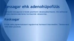 Sisenõrenäärmed ja tuntumad haigused #7