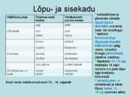 Eesti keele kujunemine #5