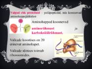 Valgud ja taimne toidusedel esitlus #3