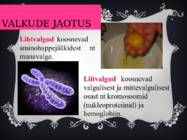 Valgud ja taimne toidusedel esitlus #4