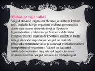 Valgud ja taimne toidusedel esitlus #5