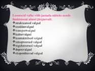 Valgud ja taimne toidusedel esitlus #9