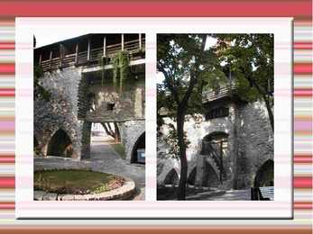 Toompea #24