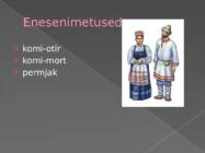 Permikomid #2