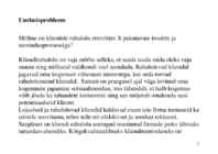 Uurimisprojekti poster #2