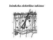 Elektriohutus #12