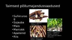 BRASIILIA PÕLLUMAJANDUS #12