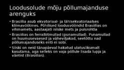 BRASIILIA PÕLLUMAJANDUS #6