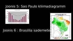BRASIILIA PÕLLUMAJANDUS #8
