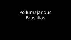 BRASIILIA PÕLLUMAJANDUS