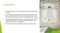 Leonardo da Vinci #8