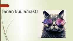 Optometristi töökeskkonna ohutegurid- optometrist-kui klienditeenindaja #10