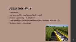 Sõstrakasvatus #8
