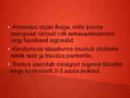 ARMASTUSE TEOORIA #6