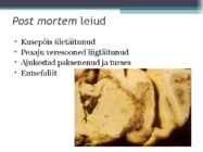 Marutaud veistel #4