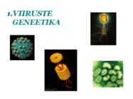 Viiruste geneetika