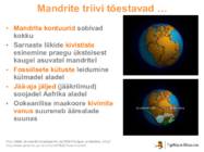 Maa siseehitus ja laamtektoonika #7