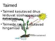 Nimetu #3