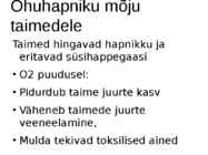 Nimetu #4