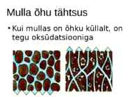 Nimetu #7