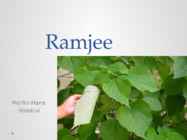 Ramjee