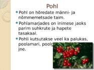 Pohlad #2