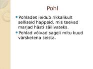Pohlad #6