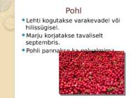 Pohlad #8