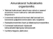 Elu algus maal #11