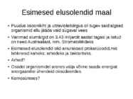 Elu algus maal #7
