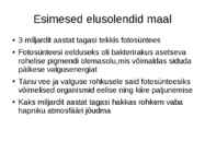Elu algus maal #8