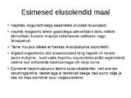 Elu algus maal #9