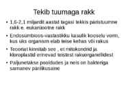 Elu algus maal #10