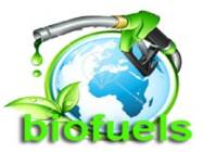 Green Energy presentation #13