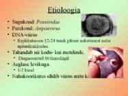 Lindude rõuged #2
