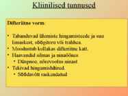 Lindude rõuged #8