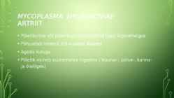 Mycoplasma hyosynoviae #2