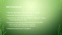 Mycoplasma hyosynoviae #3