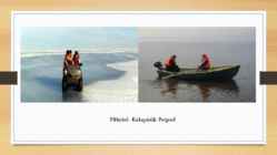 Peipsi madalik #4
