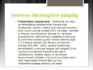 Inimese ökoloogiline jalajälg-esitlus #16